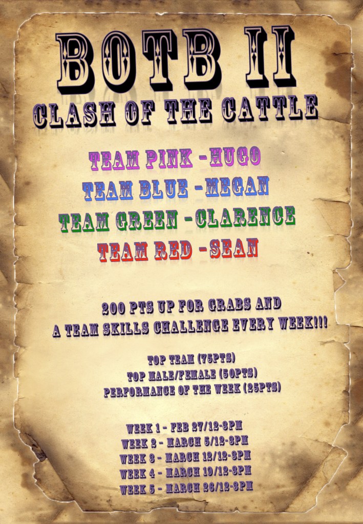 BOTB II Final