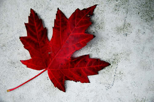 canada_day