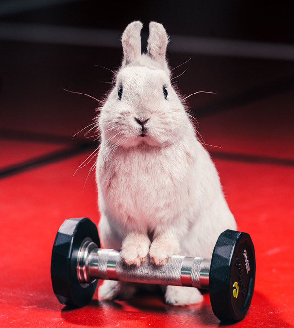 easter — Blog — CrossFit 1864